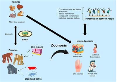 Advancements in monkeypox vaccines development: a critical review of emerging technologies